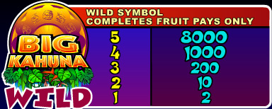 Дикий символ автомата Big Kahuna