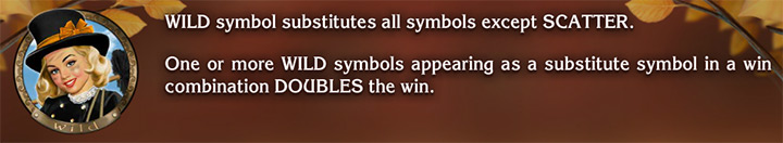 Вайлд аппарата Chimney Sweep 